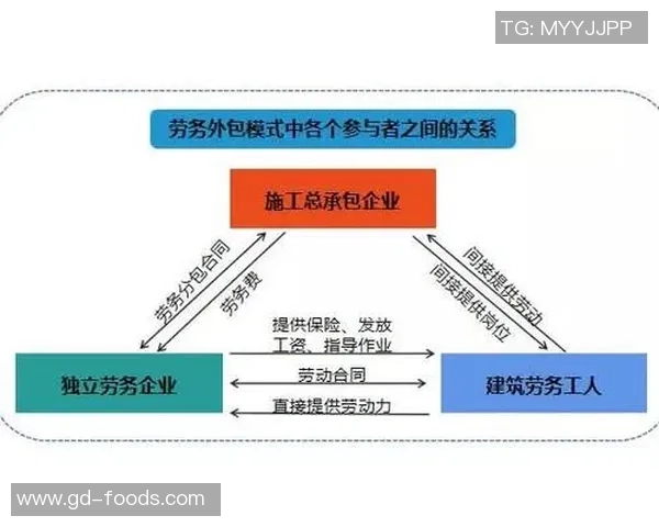 杭州排球队战术解析与竞技策略的深度探讨
